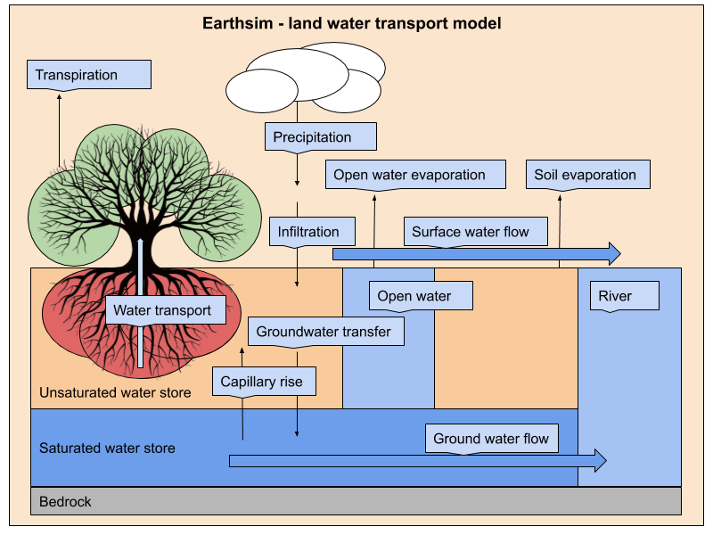 Photosynthesis, tree growth and water transport – Earthsim